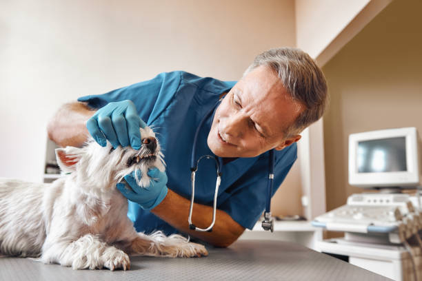 Best Emergency Tooth Extraction in Center Point, IA